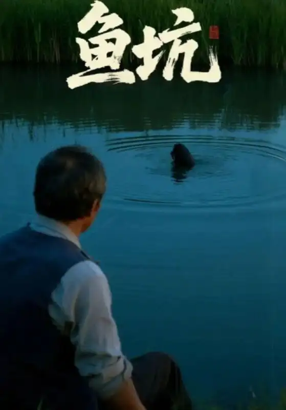 短剧《鱼坑》高清完整版全集免费在线观看