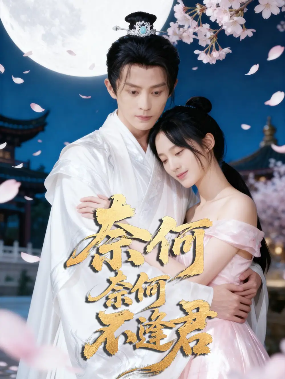 短剧《奈何奈何不逢君》高清完整版全集免费在线观看