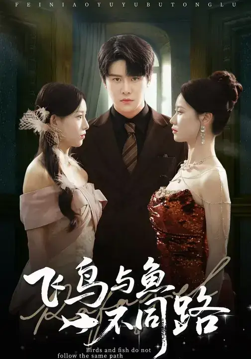 短剧《飞鸟与鱼不同路》高清完整版全集免费在线观看