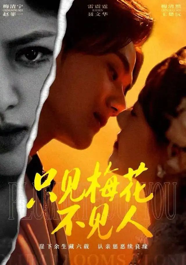 短剧《只见梅花不见人》高清完整版全集免费在线观看