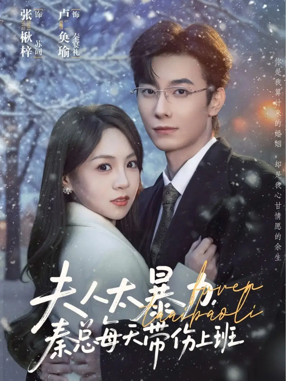 短剧《夫人太暴力，秦总每天带伤上班》高清完整版全集免费在线观看