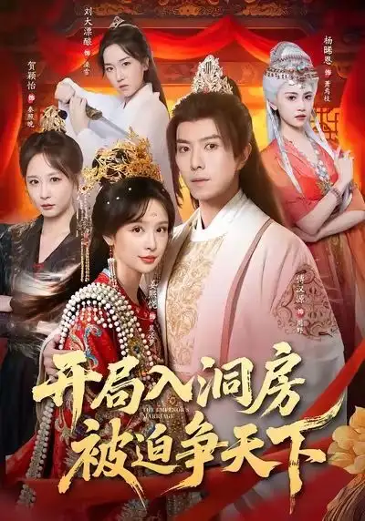 短剧《开局入洞房，被迫争天下》高清完整版全集免费在线观看