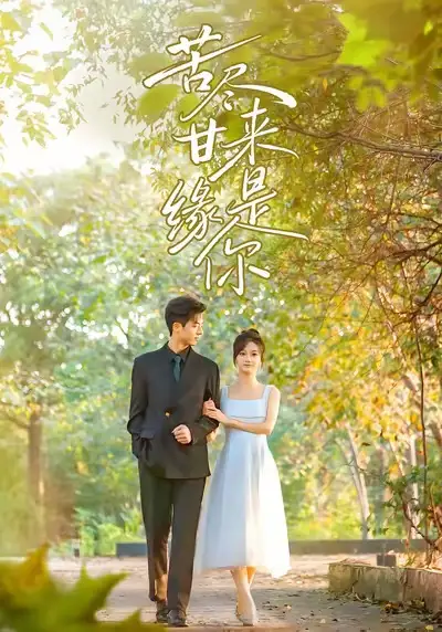 短剧《苦尽甘来缘是你》高清完整版全集免费在线观看